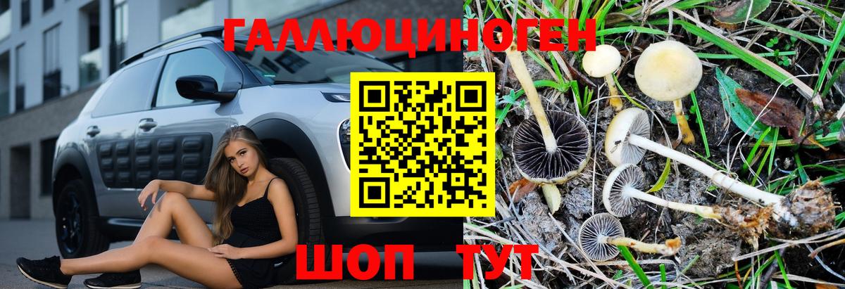 Киселёвск  даркнет сайт  Вход с VPN  Псилоцибиновые грибы MAGIC MUSHROOMS 