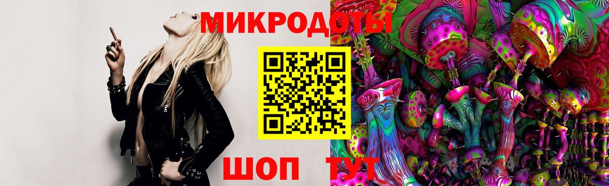 Галлюциногенные грибы Psilocybine cubensis Киселёвск